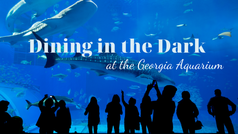 Dining in the Dark at the Aquarium