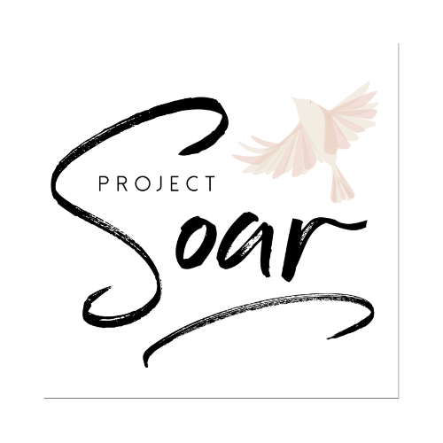 Project SOAR  Logo 
