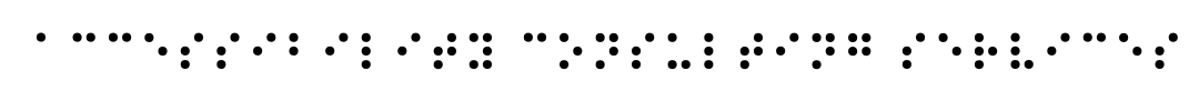 Accessibility consulting services in grade 1 braille 