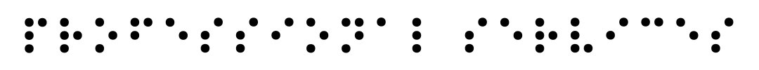 professional services in grade 1 braille 